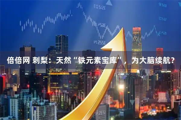 倍倍网 刺梨：天然“铁元素宝库”，为大脑续航？