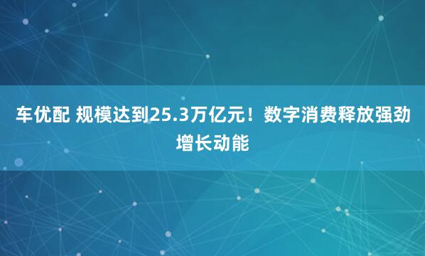 车优配 规模达到25.3万亿元！数字消费释放强劲增长动能